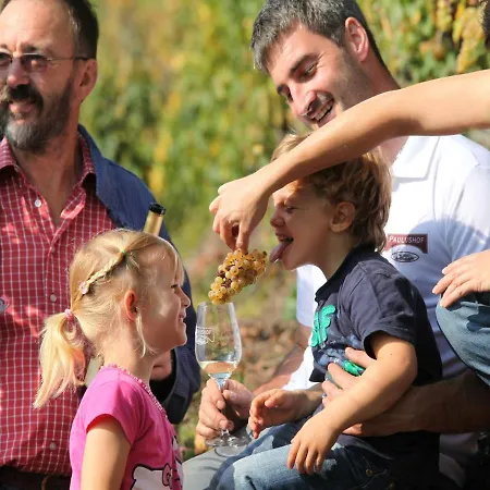 Vendégház Wein & Wohngut Paulushof