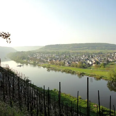 Wein & Wohngut Paulushof Vendégház