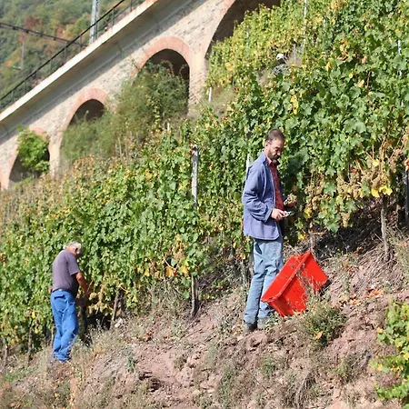 Wein & Wohngut Paulushof Pünderich