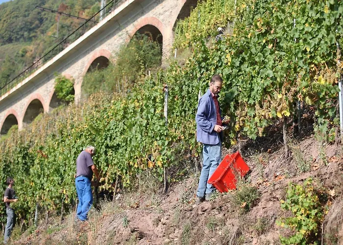 Wein & Wohngut Paulushof