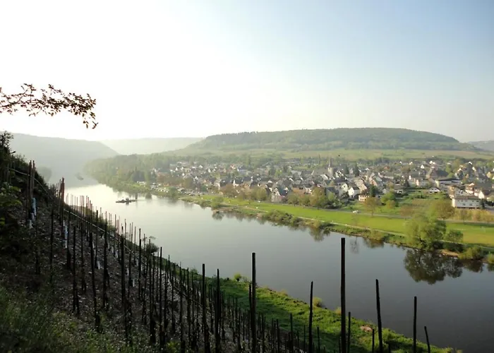 게스트하우스 Wein & Wohngut Paulushof 4*