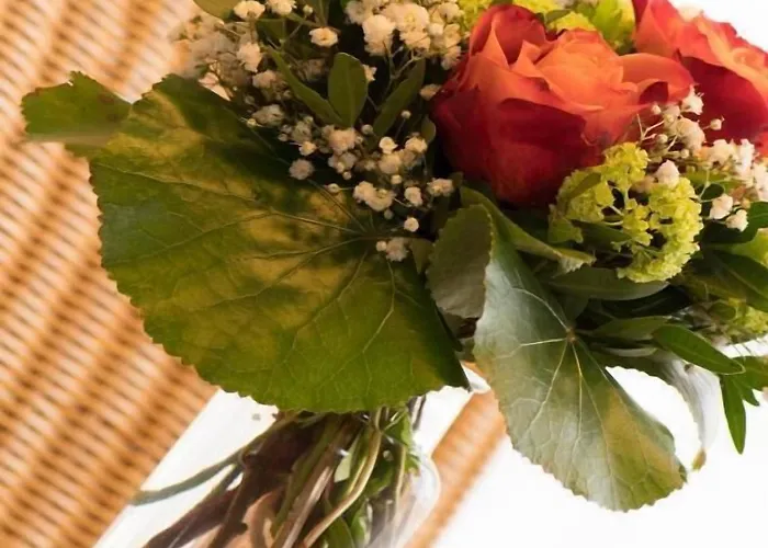 게스트하우스 Wein & Wohngut Paulushof 푼데리크